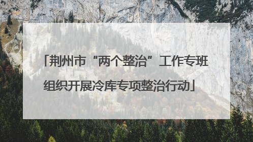 荆州市“两个整治”工作专班组织开展冷库专项整治行动