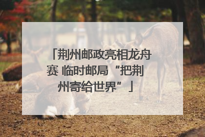 荆州邮政亮相龙舟赛 临时邮局“把荆州寄给世界”