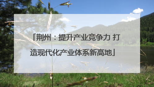 荆州：提升产业竞争力 打造现代化产业体系新高地