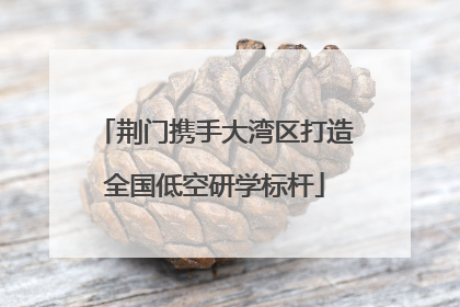 荆门携手大湾区打造全国低空研学标杆