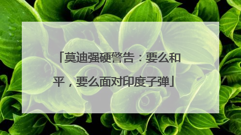 莫迪强硬警告：要么和平，要么面对印度子弹