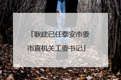 耿建已任泰安市委市直机关工委书记