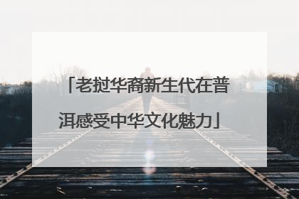 老挝华裔新生代在普洱感受中华文化魅力