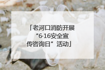 老河口消防开展“6·16安全宣传咨询日”活动
