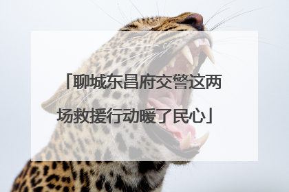 聊城东昌府交警这两场救援行动暖了民心