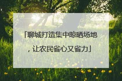 聊城打造集中晾晒场地，让农民省心又省力
