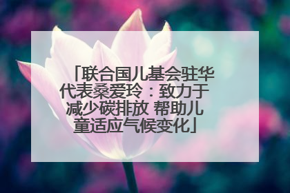 联合国儿基会驻华代表桑爱玲：致力于减少碳排放 帮助儿童适应气候变化