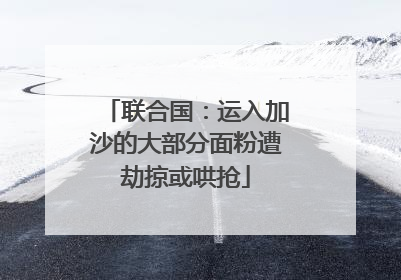 联合国：运入加沙的大部分面粉遭劫掠或哄抢