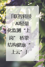 联智科技：AI轻量化监测“上岗” 桥梁结构健康“上云”