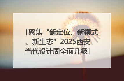 聚焦“新定位、新模式、新生态”2025西安当代设计周全面升级