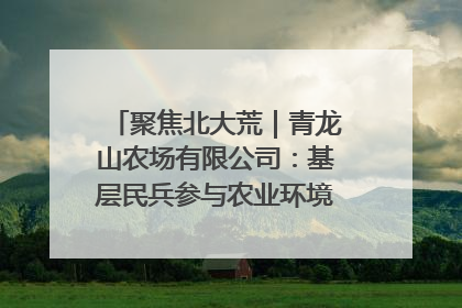聚焦北大荒｜青龙山农场有限公司：基层民兵参与农业环境综合治理显效