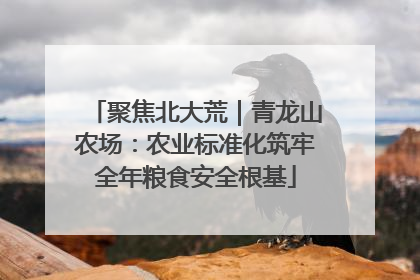聚焦北大荒｜青龙山农场：农业标准化筑牢全年粮食安全根基