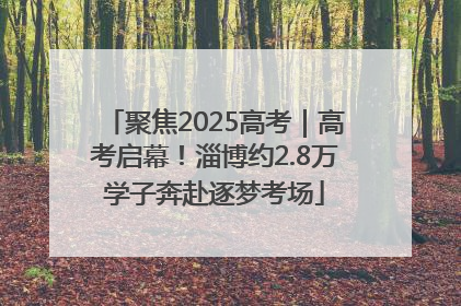 聚焦2025高考｜高考启幕！淄博约2.8万学子奔赴逐梦考场