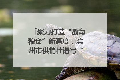 聚力打造“渤海粮仓”新高度，滨州市供销社谱写“三夏”丰收乐章