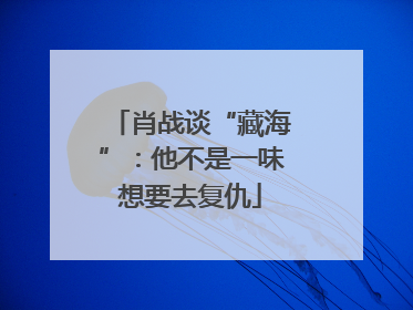 肖战谈“藏海”：他不是一味想要去复仇