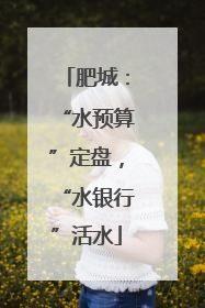 肥城：“水预算”定盘，“水银行”活水