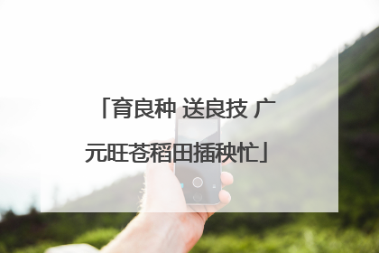 育良种 送良技 广元旺苍稻田插秧忙