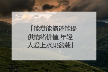 能赏能摘还能提供情绪价值 年轻人爱上水果盆栽