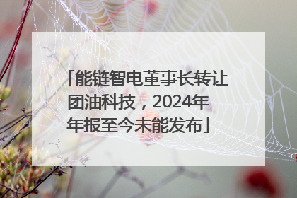能链智电董事长转让团油科技，2024年年报至今未能发布