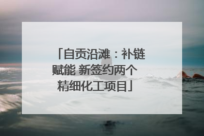 自贡沿滩：补链赋能 新签约两个精细化工项目