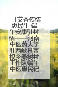 艾香传情惠民生 端午安康驻村情——河南中医药大学驻西峡县寨根乡桑树村工作队端午中医惠民记
