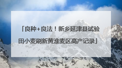 良种+良法！新乡延津县试验田小麦刷新黄淮麦区高产记录