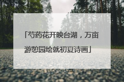 芍药花开映台湖，万亩游憩园绘就初夏诗画
