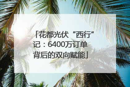 花都光伏“西行”记：6400万订单背后的双向赋能