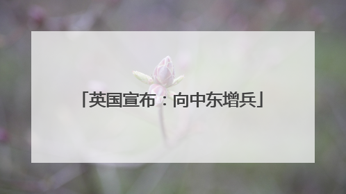 英国宣布：向中东增兵