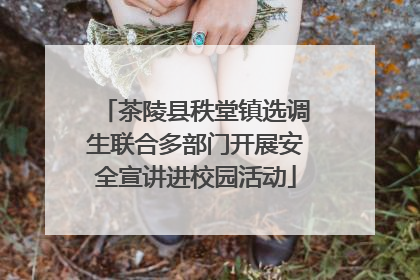 茶陵县秩堂镇选调生联合多部门开展安全宣讲进校园活动