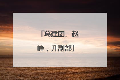 葛建团、赵峰，升副部