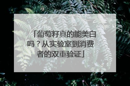 葡萄籽真的能美白吗？从实验室到消费者的双重验证