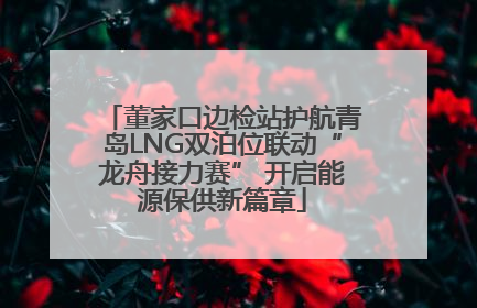 董家口边检站护航青岛LNG双泊位联动“龙舟接力赛” 开启能源保供新篇章