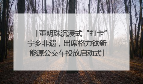 董明珠沉浸式“打卡”宁乡非遗，出席格力钛新能源公交车投放启动式
