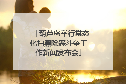 葫芦岛举行常态化扫黑除恶斗争工作新闻发布会