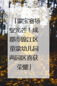 蒙宝赛场绽光芒！成都市锦江区童蒙幼儿园两园区喜获荣耀