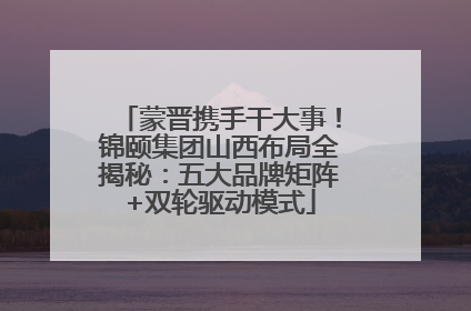 蒙晋携手干大事！锦颐集团山西布局全揭秘：五大品牌矩阵+双轮驱动模式