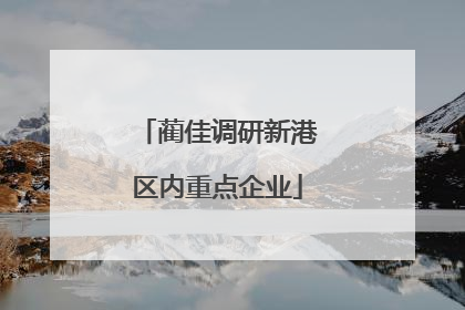 蔺佳调研新港区内重点企业