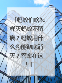 蚂蚁怕啥怎样灭蚂蚁不留痕？蚂蚁用什么药能彻底消灭？答案在这！