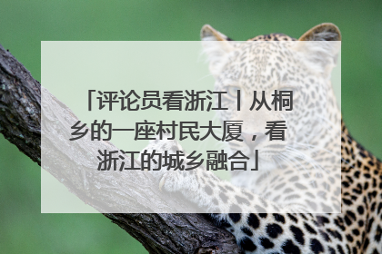 评论员看浙江丨从桐乡的一座村民大厦，看浙江的城乡融合