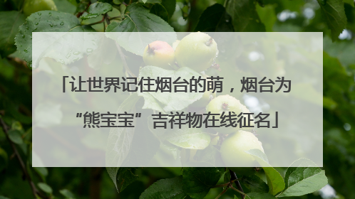 让世界记住烟台的萌，烟台为“熊宝宝”吉祥物在线征名