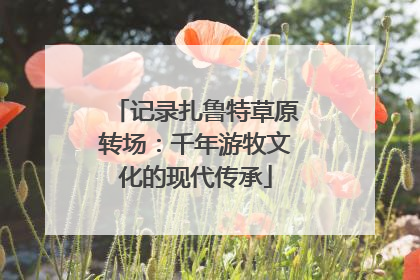 记录扎鲁特草原转场：千年游牧文化的现代传承