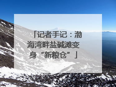 记者手记：渤海湾畔盐碱滩变身“新粮仓”