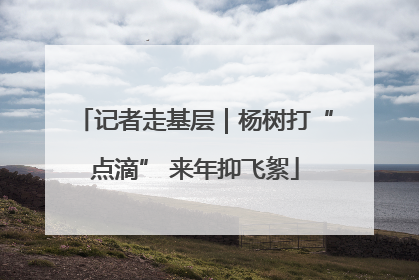记者走基层｜杨树打“点滴” 来年抑飞絮