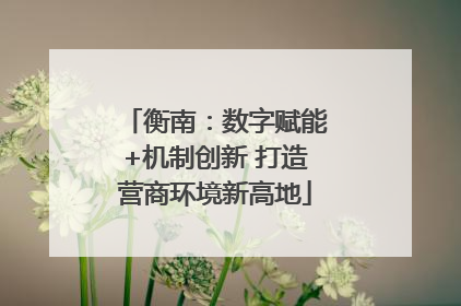 衡南：数字赋能+机制创新 打造营商环境新高地