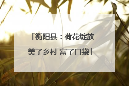 衡阳县：荷花绽放 美了乡村 富了口袋