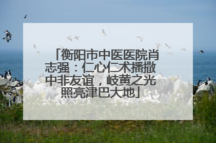 衡阳市中医医院肖志强：仁心仁术播撒中非友谊，岐黄之光照亮津巴大地