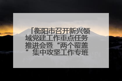 衡阳市召开新兴领域党建工作重点任务推进会暨“两个覆盖”集中攻坚工作专班 第一次会议