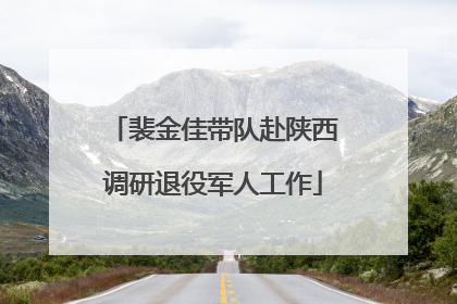 裴金佳带队赴陕西调研退役军人工作