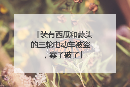 装有西瓜和蒜头的三轮电动车被盗，案子破了